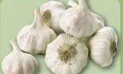 REWE Center Knoblauch Angebot