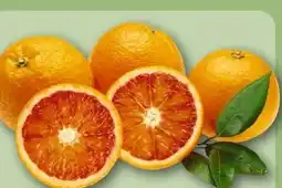 REWE Center Blutorangen Angebot