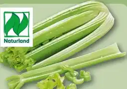 REWE Center Rewe Bio Staudensellerie Angebot