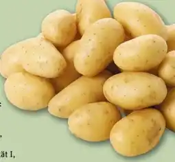 REWE Center Rewe Beste Wahl Speisekartoffeln Die Feinen Angebot