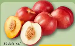 REWE Center Gelbfleischige Nektarin Angebot