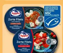 REWE Center Appel Zarte Filets vom Hering Angebot