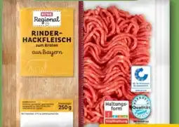 REWE Rewe Regional Rinder Hackfleisch Angebot