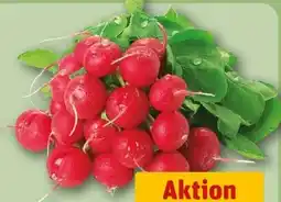 REWE Radieschen Angebot