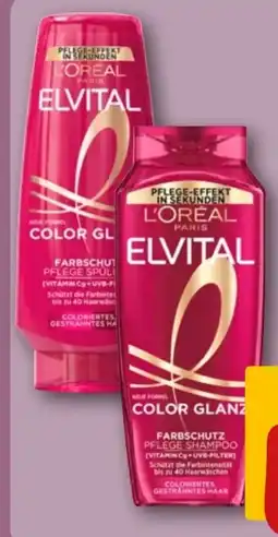 REWE L'Oréal Paris Elvital Spülung Color-Glanz Angebot