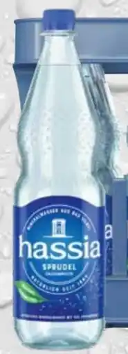 trinkgut Hassia Mineralwasser Angebot