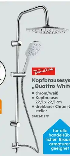 Globus Baumarkt TrendLine Kopfbrausesystem Quattro White Angebot