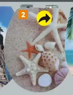 Globus Baumarkt Primaster WC-Sitz Seestern Angebot