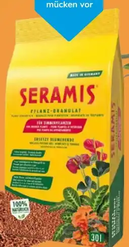 Globus Baumarkt Seramis Pflanz-Granulat Angebot