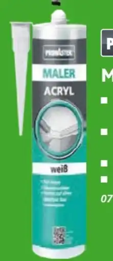 Globus Baumarkt Primaster Maleracryl Angebot