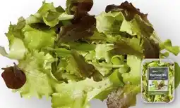Edeka Edeka Bio Pflücksalat Angebot
