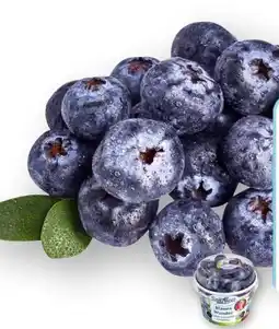 Edeka SanLucar Heidelbeeren Angebot