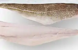 Scheck-in-Center Skrei-Filets Angebot