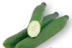 Scheck-in-Center Gurken Angebot