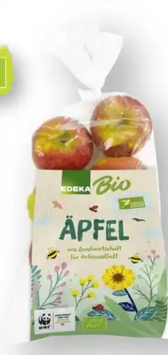 Scheck-in-Center Edeka Bio Äpfel Pinova Angebot