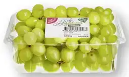 Scheck-in-Center Gut & Günstig Trauben Angebot