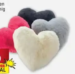 Scheck-in-Center Dekokissen Angebot