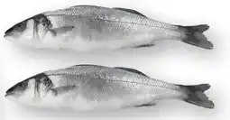 Scheck-in-Center Bio Wolfsbarsch Angebot