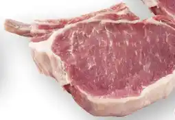 Scheck-in-Center Iberico-Krone Angebot