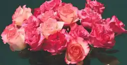 Scheck-in-Center Rosen im Bund Angebot