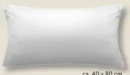 Lidl John Cotton Kissen Super Soft Angebot