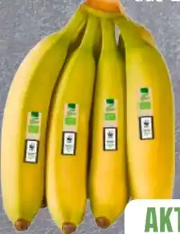 Edeka Frischemarkt Edeka Bio Bio-Bananen Angebot