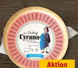 REWE Center Hamburger Käselager Cyrano Pur Schaf Angebot