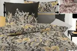 porta Kaeppel Jersey-Bettwäsche Angebot