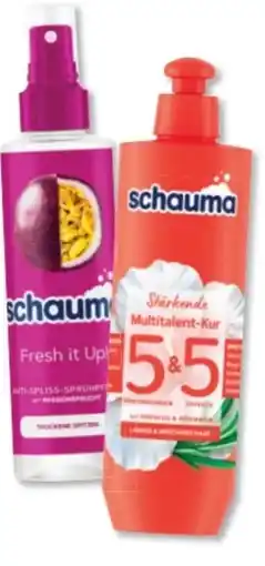 Budni Schwarzkopf Schauma Kur 5&5 Angebot