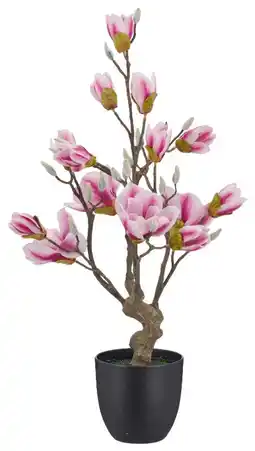 Mömax Kunstpflanze Magnolie Angebot