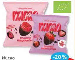 Budni Nucao Bio Vegane Schokofrüchte Angebot