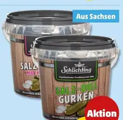 PENNY Schlichting Salz-Dill-Gurken Angebot