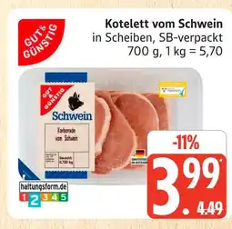 Marktkauf Gut & günstig kotelett vom schwein Angebot