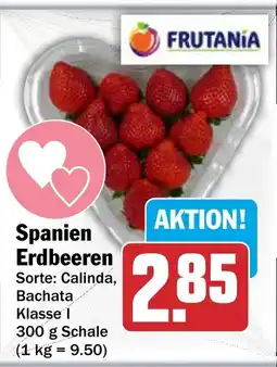HIT Spanien Erdbeeren Angebot