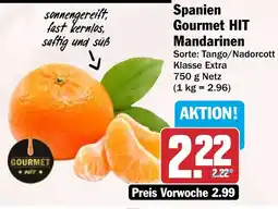 HIT Spanien Gourmet HIT Mandarinen Angebot