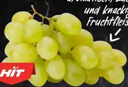 HIT Südafrika/Namibia Tafeltrauben hell kernlos Angebot