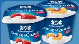 Aldi Nord Weihenstephan Fruchtquark Angebot