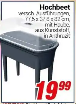 CENTERSHOP Hochbeet Angebot