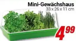 CENTERSHOP Mini-Gewächshaus Angebot