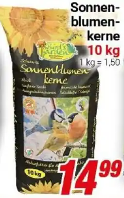 CENTERSHOP Sonnenblumenkerne Angebot