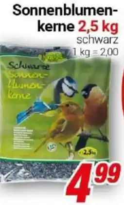 CENTERSHOP Sonnenblumenkerne Angebot