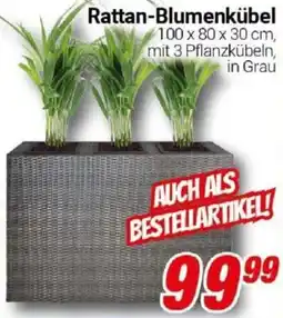 CENTERSHOP Rattan-Blumenkübel Angebot
