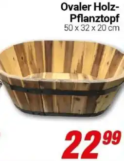 CENTERSHOP Ovaler Holz Pflanztopf Angebot