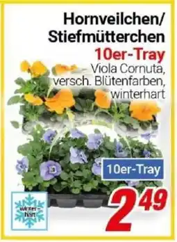 CENTERSHOP Hornveilchen/ Stiefmütterchen Angebot