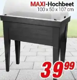 CENTERSHOP MAXI-Hochbeet Angebot