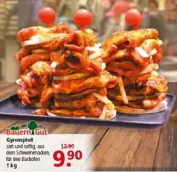Multi Markt Bauern Gut Gyrosspieß Angebot