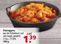 Multi Markt Putengyros Angebot
