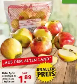 Multi Markt Elstar Äpfel Angebot