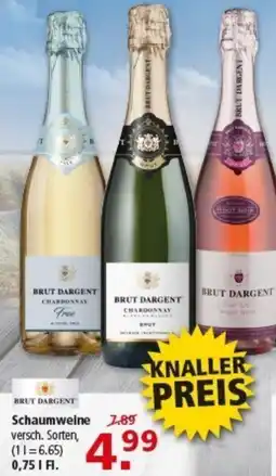 Multi Markt BRUT DARGENT Schaumweine Angebot