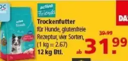 Multi Markt activa Friends Trockenfutter Angebot